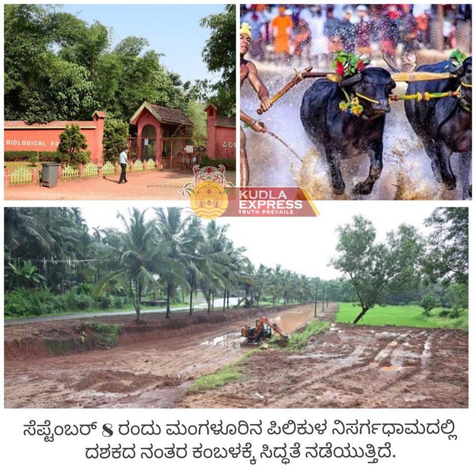 Pilikula Kambala